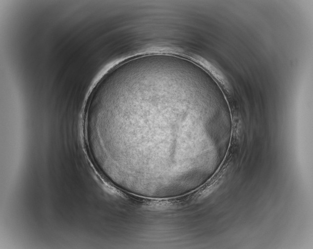 X0000116641094200912210957