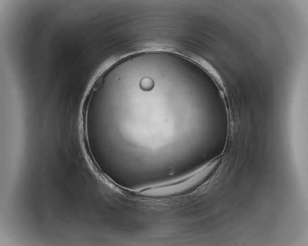 X0000116641096200912210957