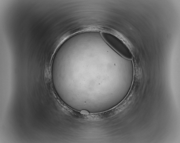 X0000116641097200912210957