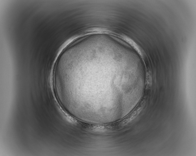 X0000116641098200912210957