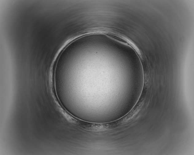 X0000116641099200912210957