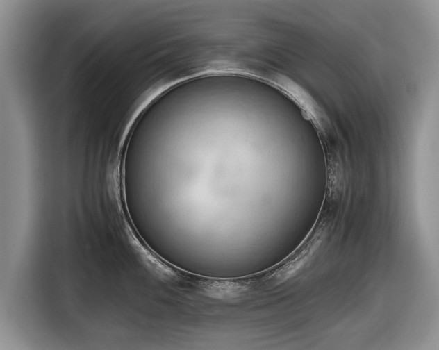 X0000116641100200912210957