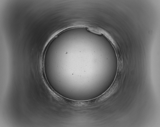 X0000116641101200912210957