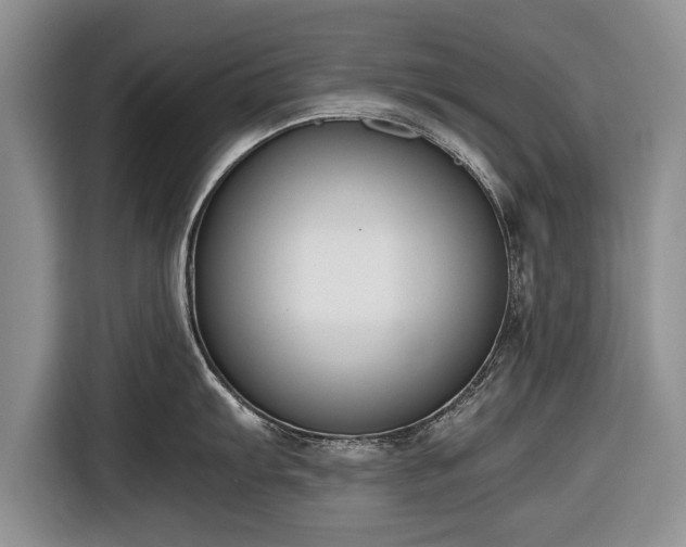 X0000116641103200912210957