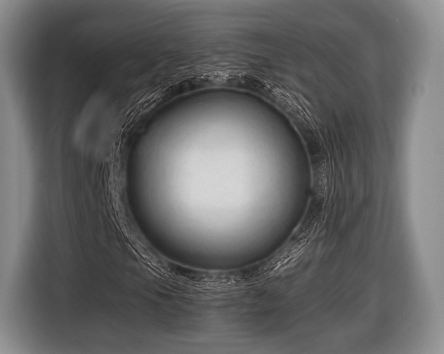 X0000116641105200912210956