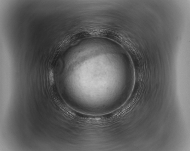 X0000116641106200912210956