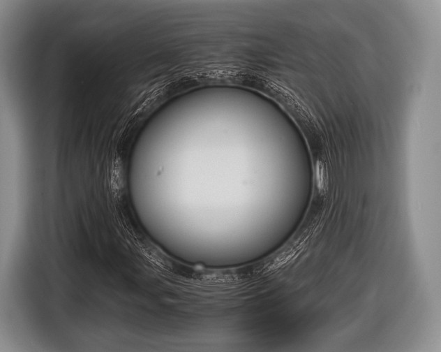 X0000116641107200912210956