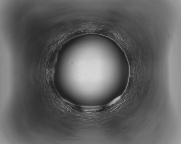 X0000116641109200912210956