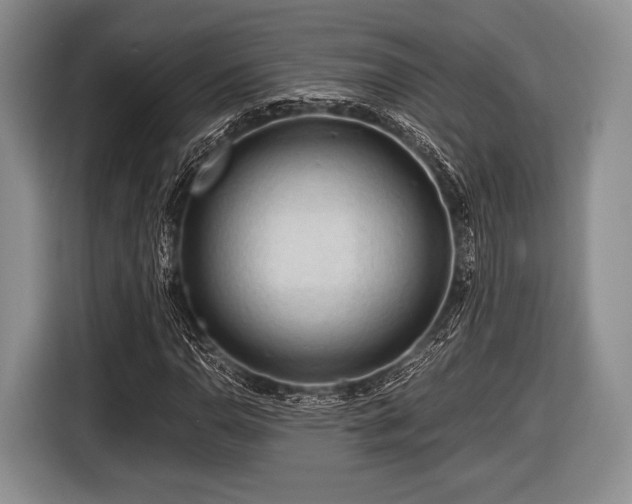 X0000116641110200912210956