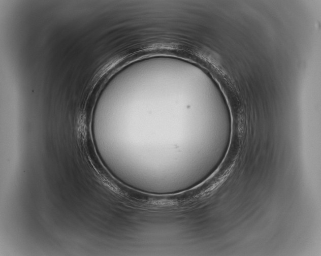 X0000116641113200912210956