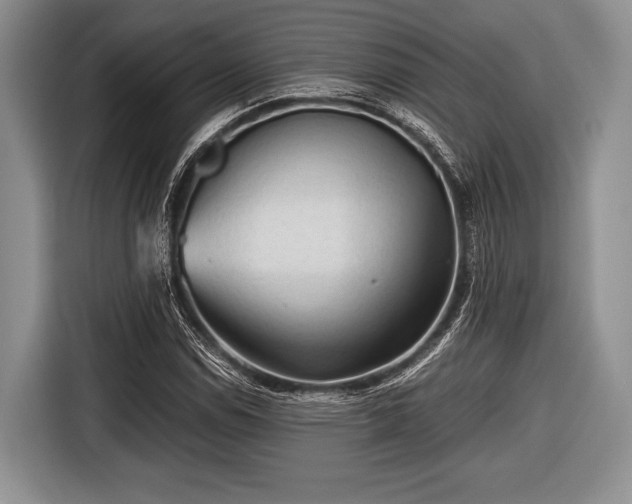 X0000116641114200912210956