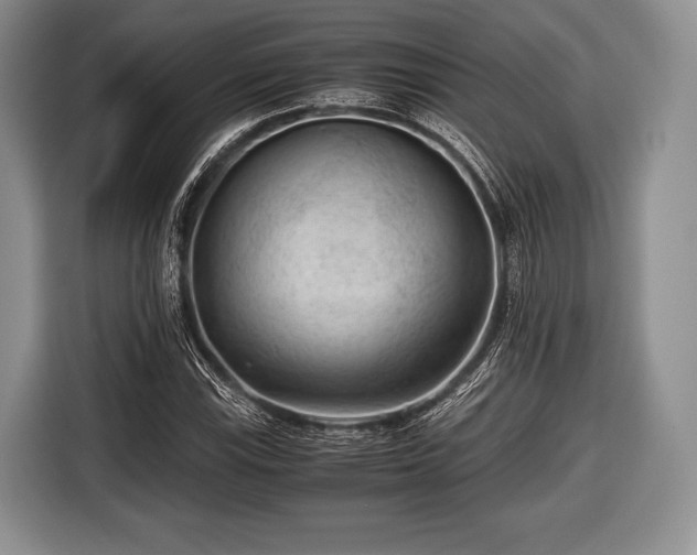 X0000116641115200912210956