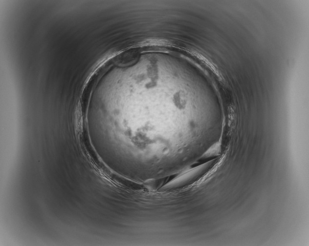 X0000116641117200912210956