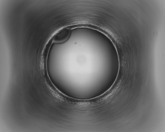 X0000116641118200912210956