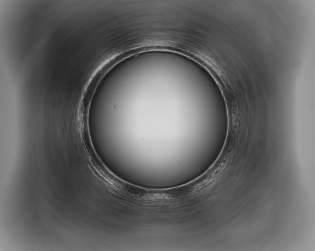 X0000116641119200912210956