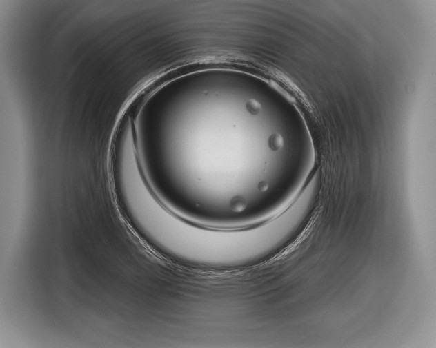 X0000116641122200912210956