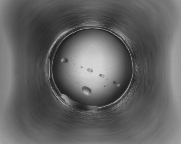 X0000116641123200912210956