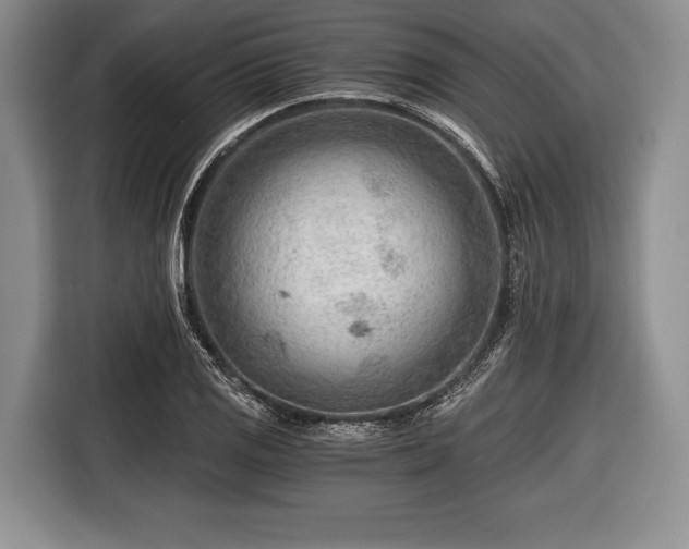 X0000116641125200912210956