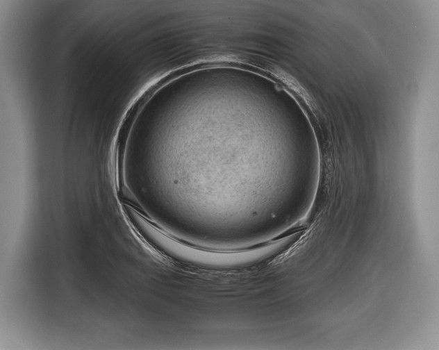 X0000116641127200912210956