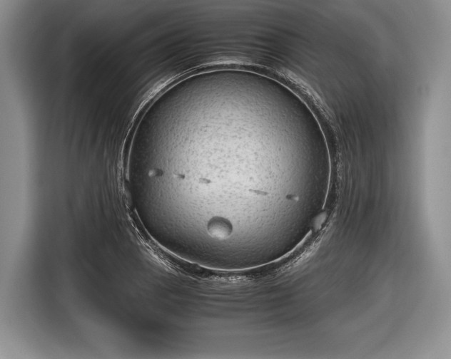 X0000116641129200912210956