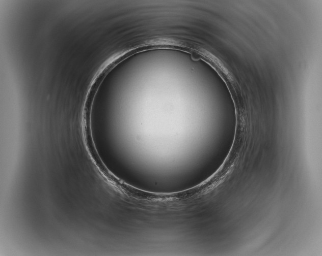 X0000116641133200912210956