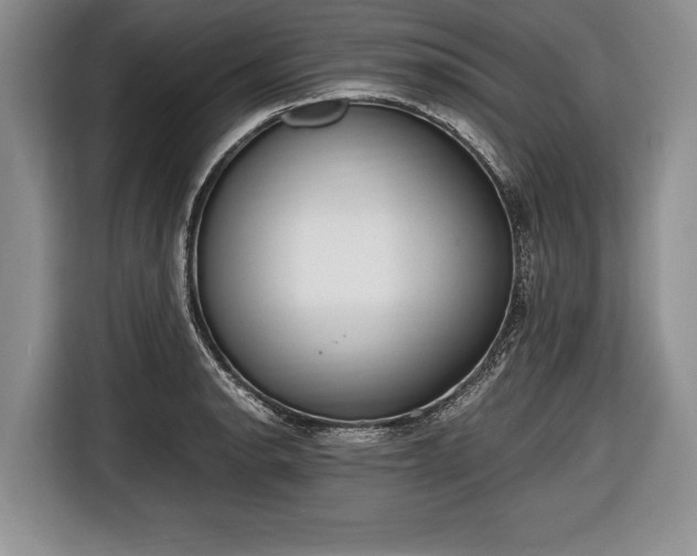 X0000116641134200912210956