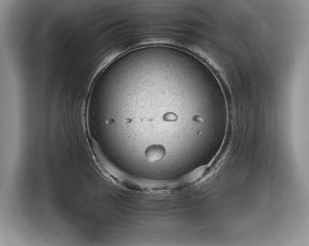 X0000116641137200912210956