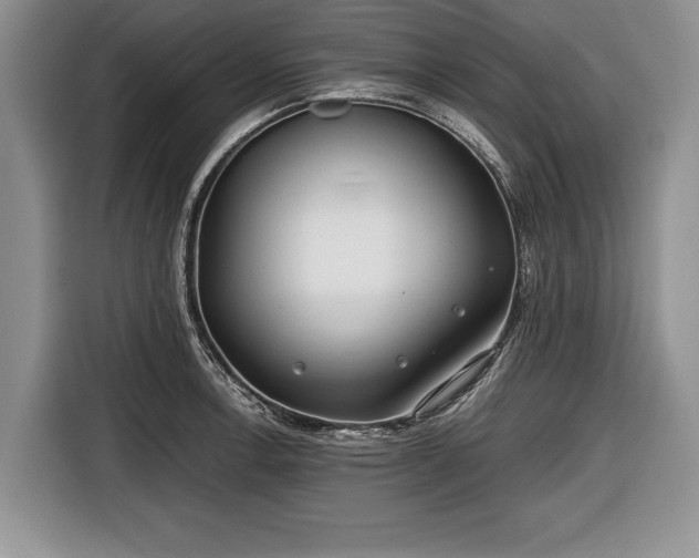 X0000116641138200912210956