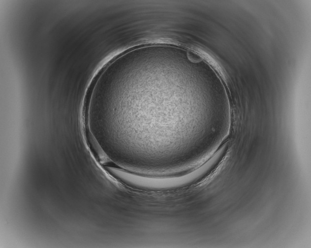 X0000116641141200912210956