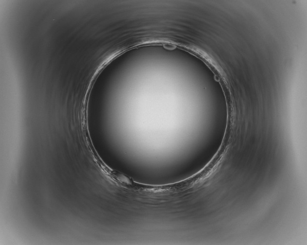 X0000116641145200912210956