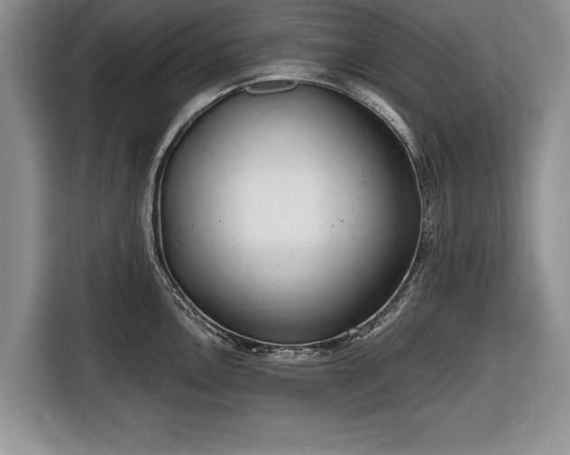 X0000116641146200912210956