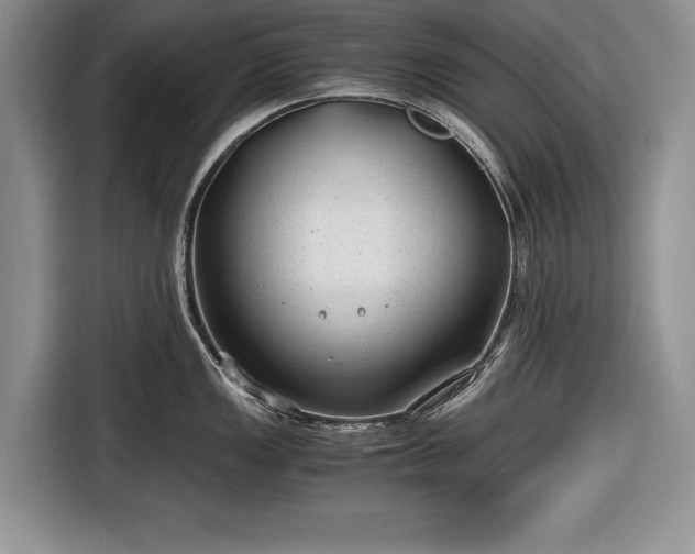 X0000116641149200912210956