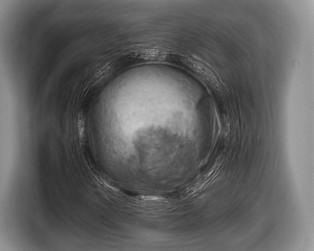 X0000116641154200912210956