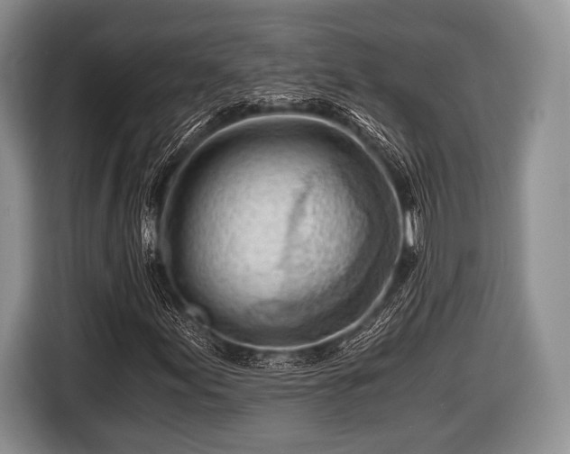 X0000116641155200912210956