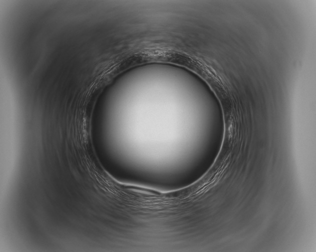 X0000116641156200912210956