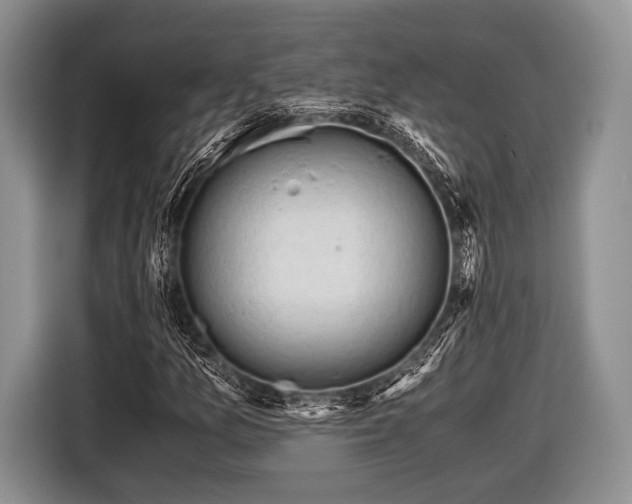 X0000116641157200912210956