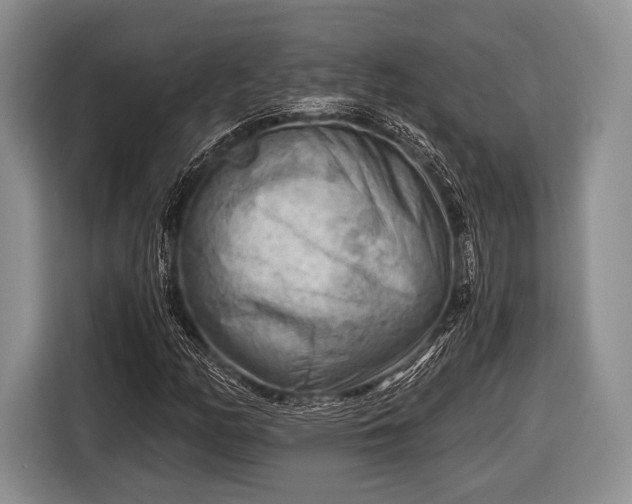 X0000116641158200912210956