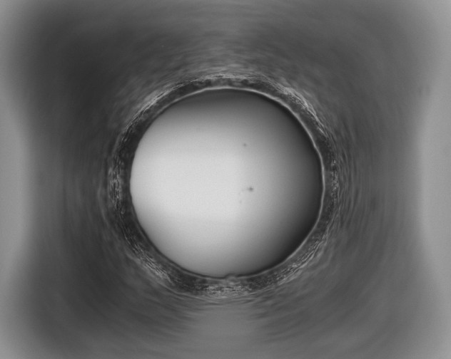 X0000116641159200912210956