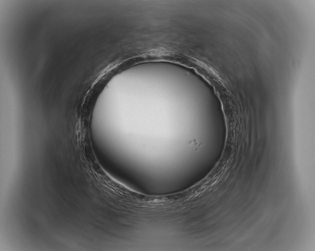 X0000116641160200912210956