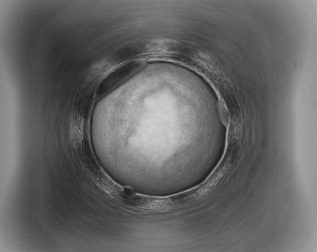 X0000116641161200912210956