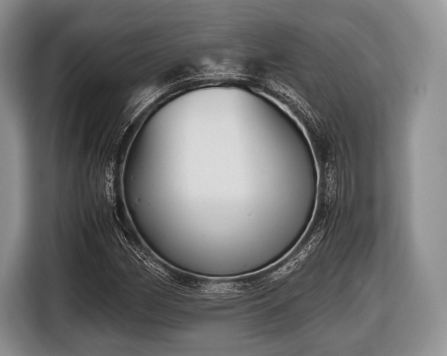 X0000116641162200912210956