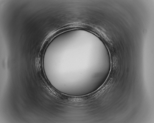 X0000116641164200912210956