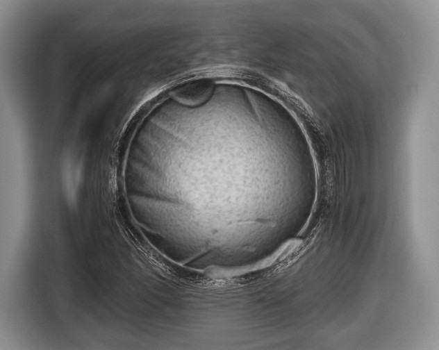 X0000116641166200912210956