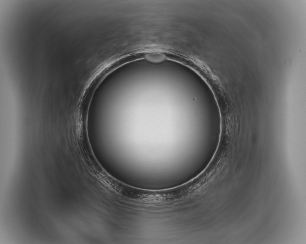 X0000116641167200912210956