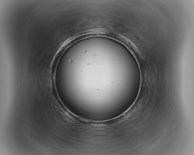 X0000116641168200912210956