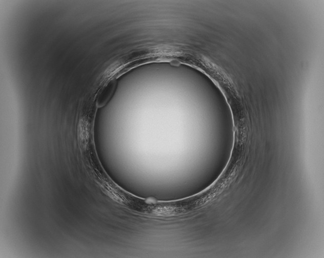 X0000116641169200912210956