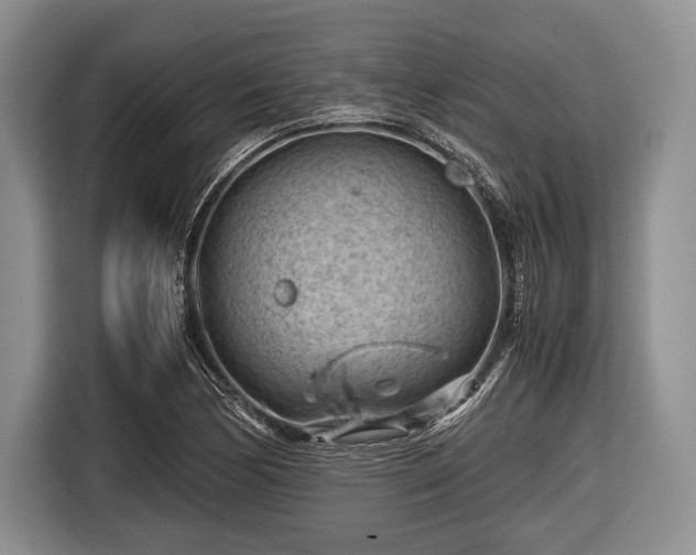 X0000116641170200912210956