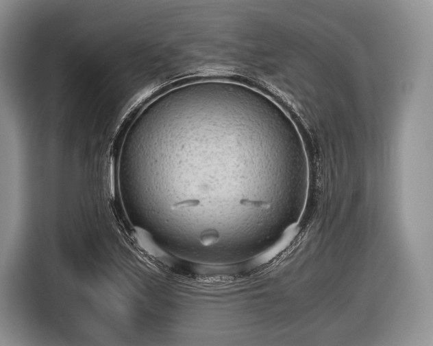 X0000116641171200912210956