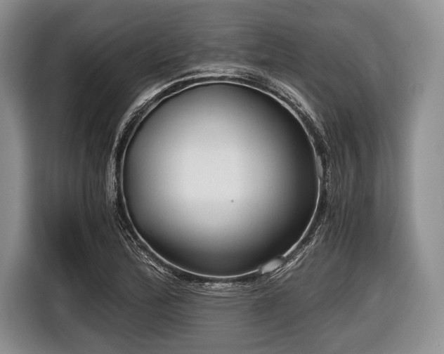 X0000116641172200912210955