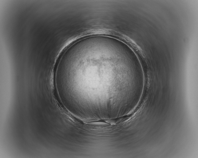 X0000116641174200912210955